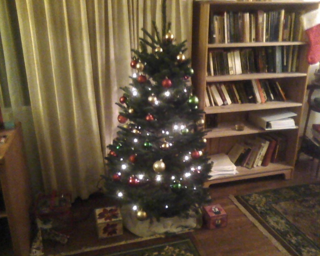 My first tree in 21 years. 